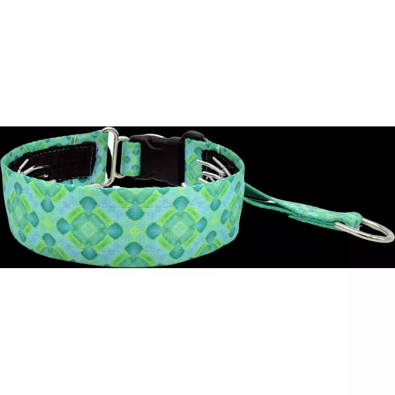 1.5" Aqua Santorini Everyday Private Trainer