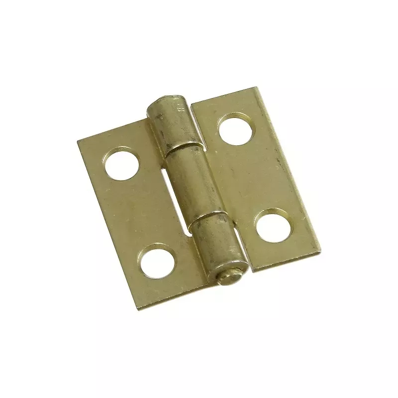 1 In. L Brass-plated Door Hinge 1 Pk