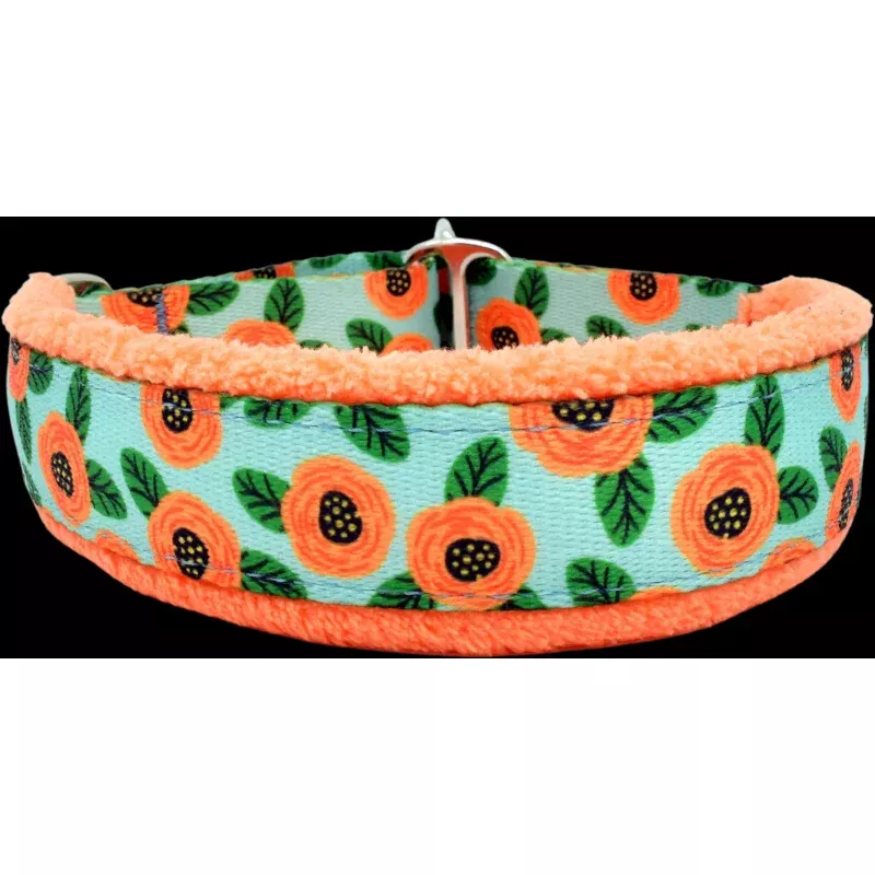 1" Josie Everyday Limited Slip Collar