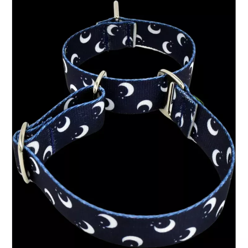 1" Simplicity Martingale Collar - multiple patterns & sizes