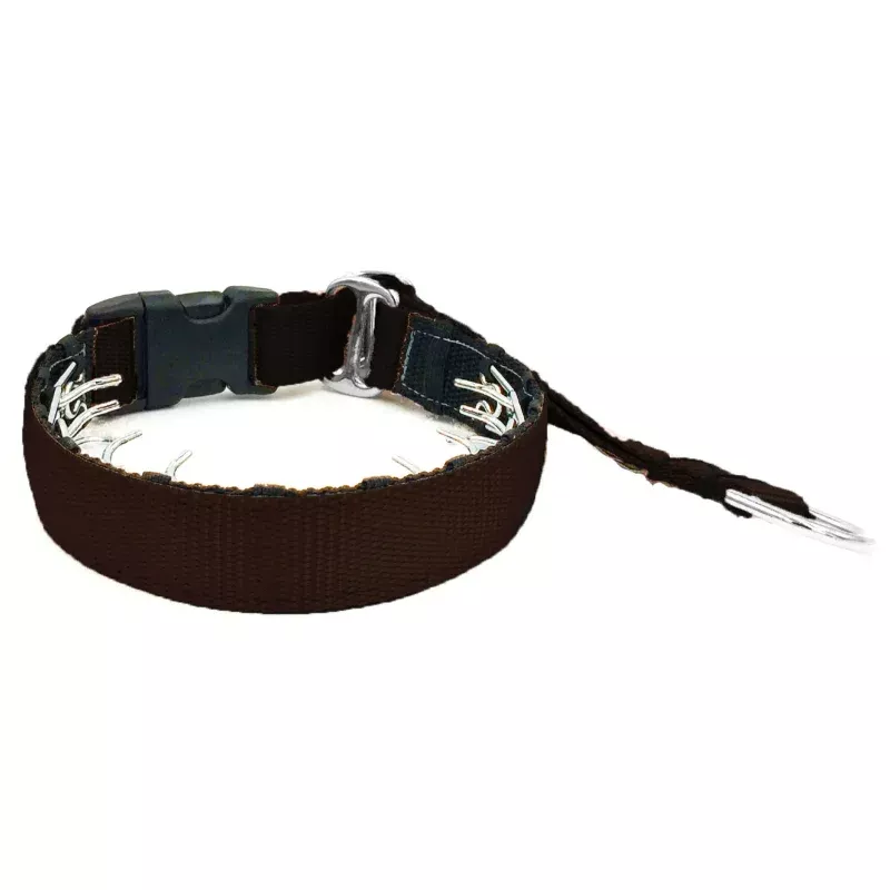 1" Solid Everyday Private Trainer Black