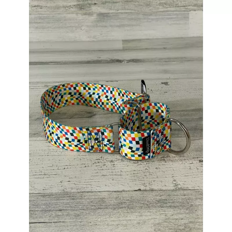 2 Hounds Design Earthstyle Indy Flag Martingale Collar