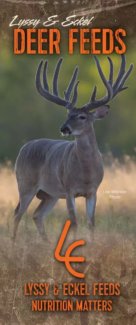 20% DEER FEED LYSSY & ECKELS