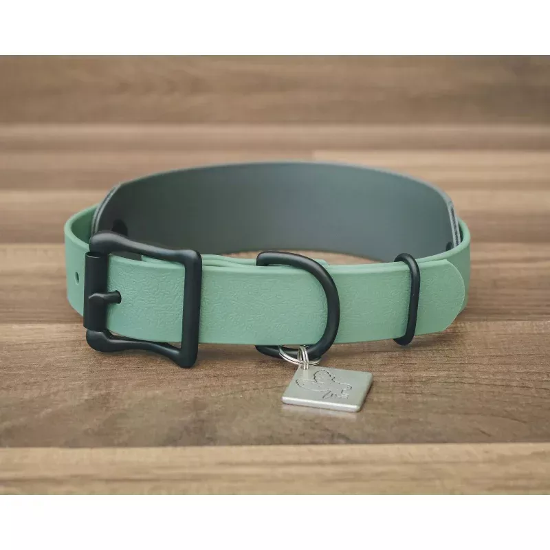 The Acadia Buckle Collar