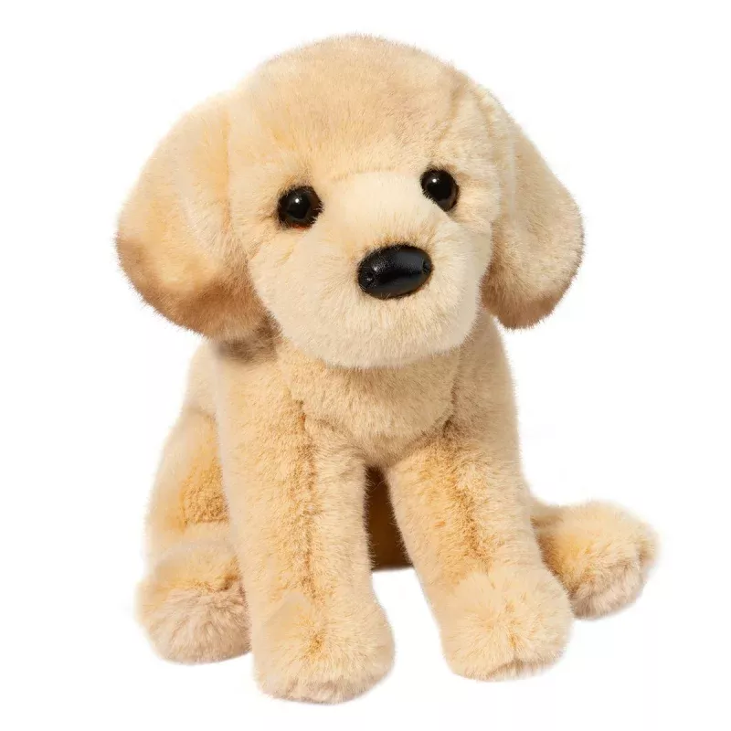 Ace the Yellow Lab