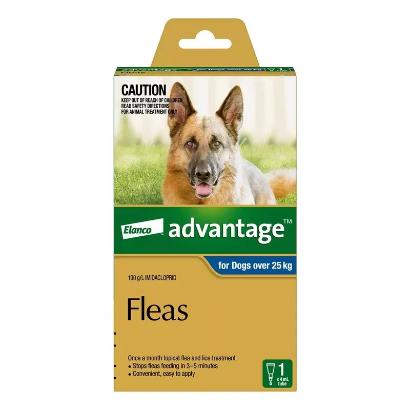 Advantage – Dog’s Over 25kg Blue 4’s