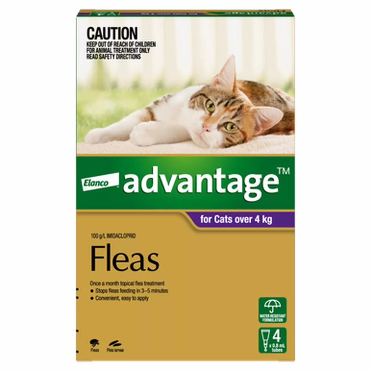 Advantage For Large Cats Purple