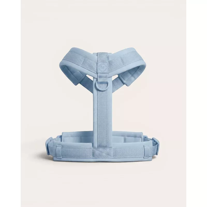 Align Y-Harness - Sky Sky