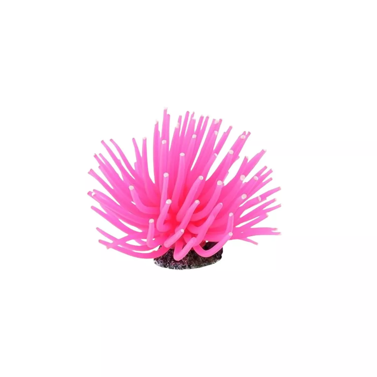 ANEMONE MEDIUM, AQUARIUM DCOR – Pink