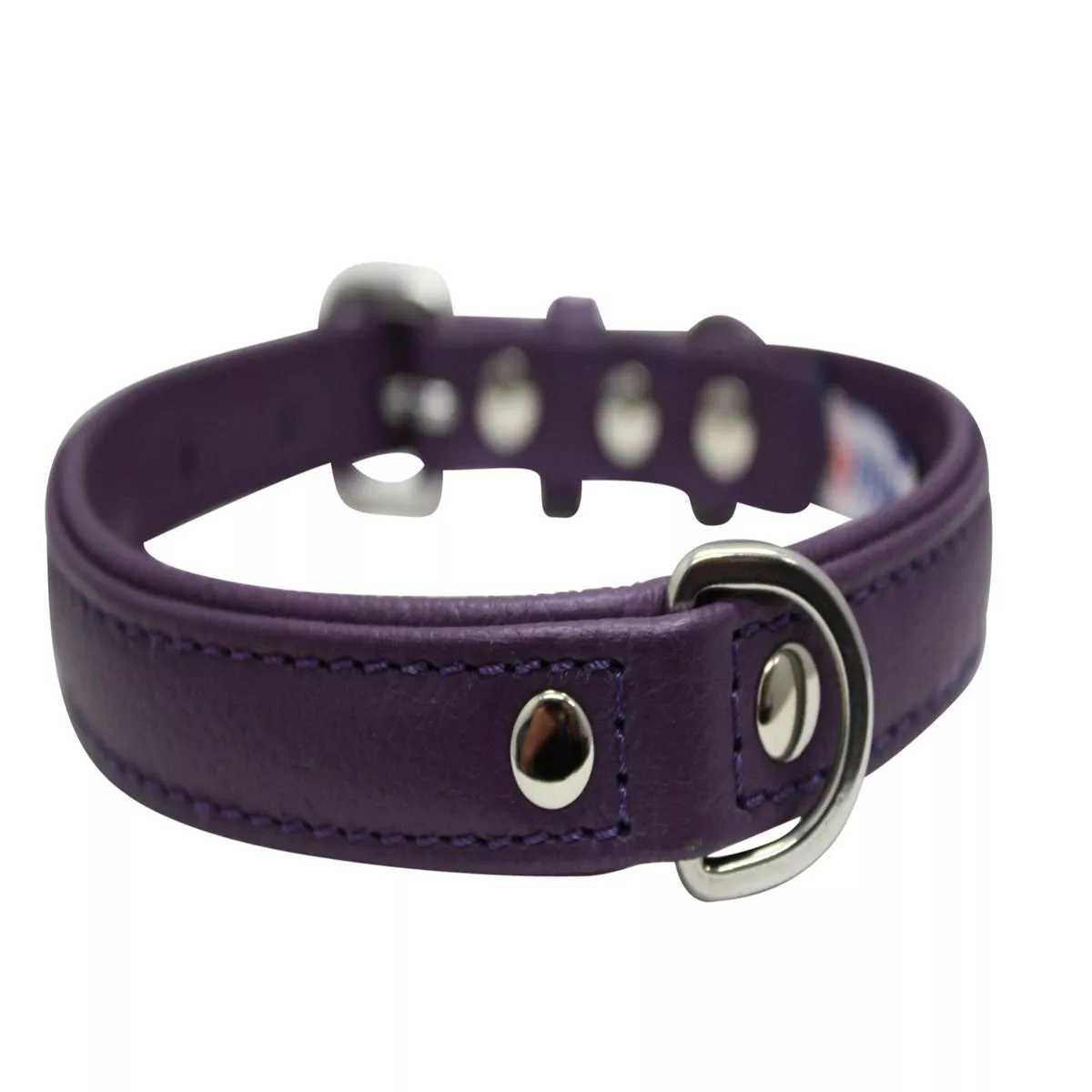 Angel Alpine Plain Dog Collar, Orchid Purple