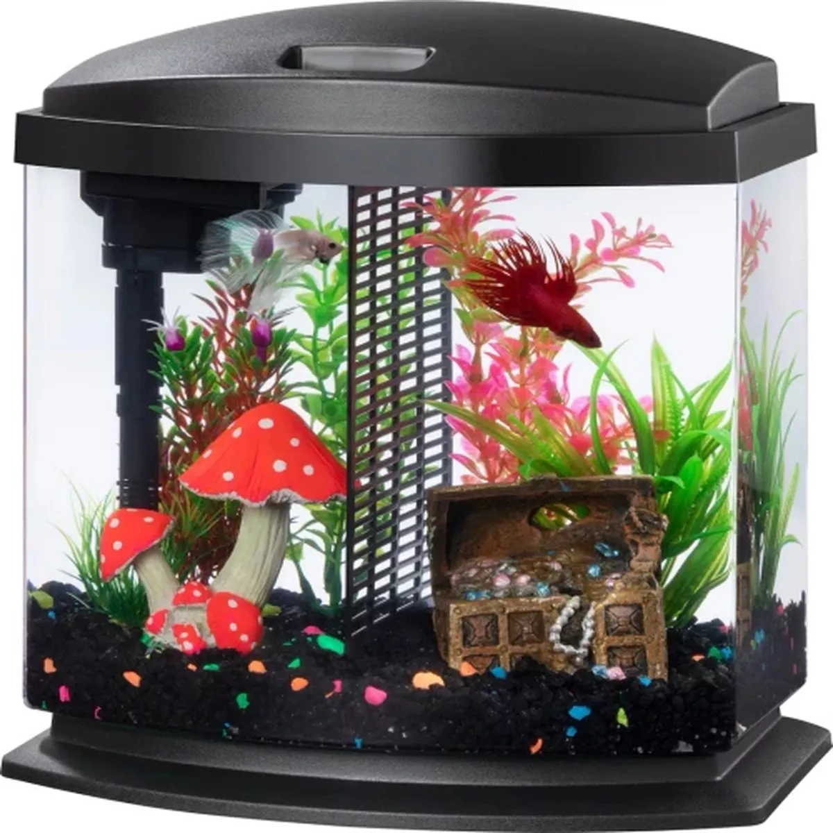Aqueon Betta Bow SmartClean Aquarium Kit, 2.5 gal