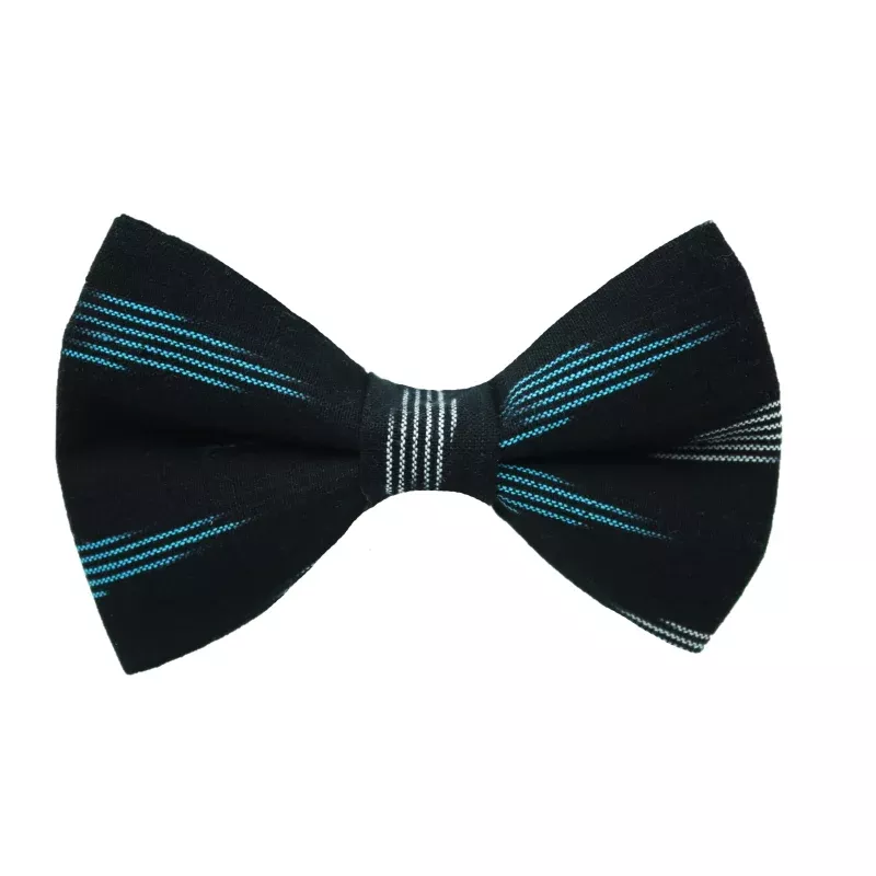 Archer Ikat Bow Tie