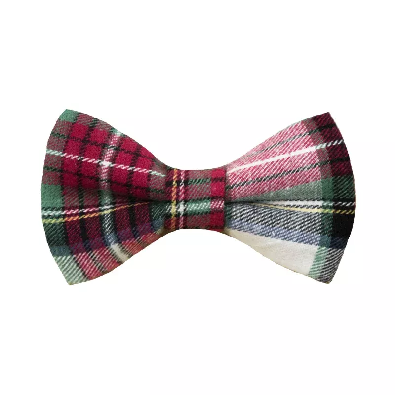 Arlee Flannel Bow Tie