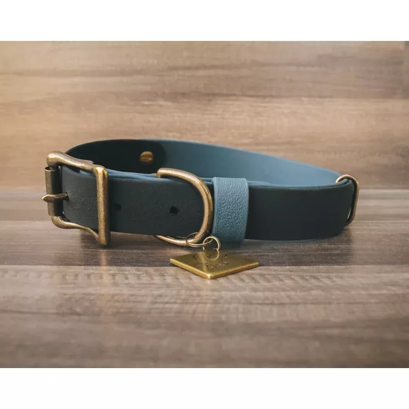 The Atlas 1" Collar / 4-in-1