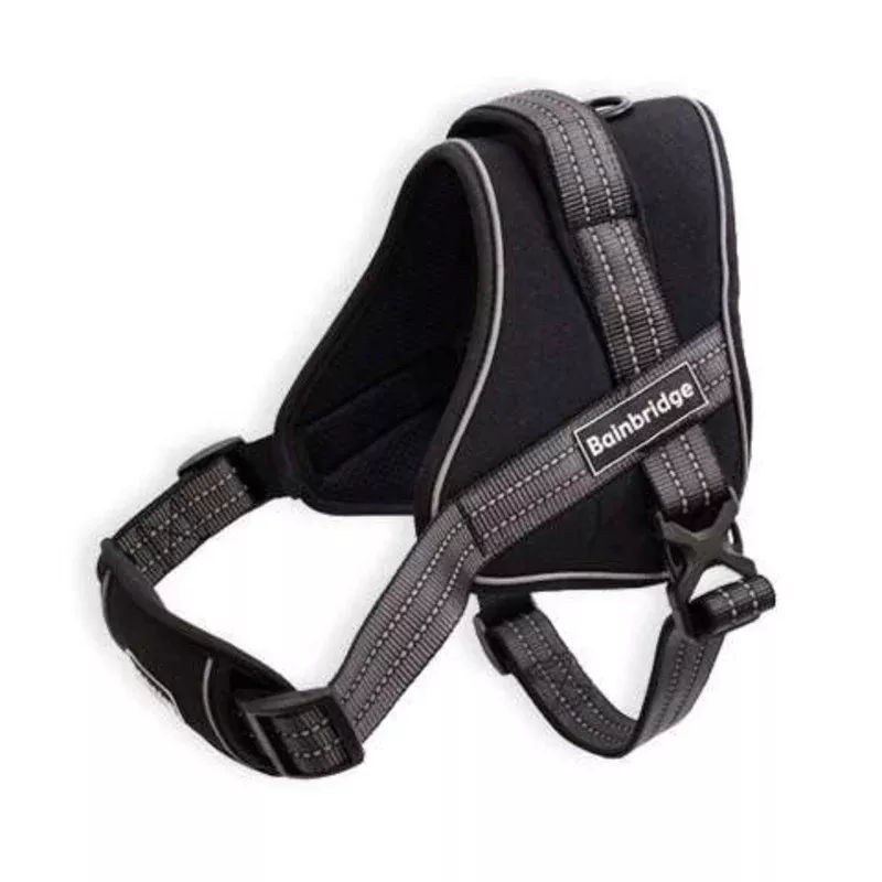Bainbridge – Harness Sport Adjustable Padded