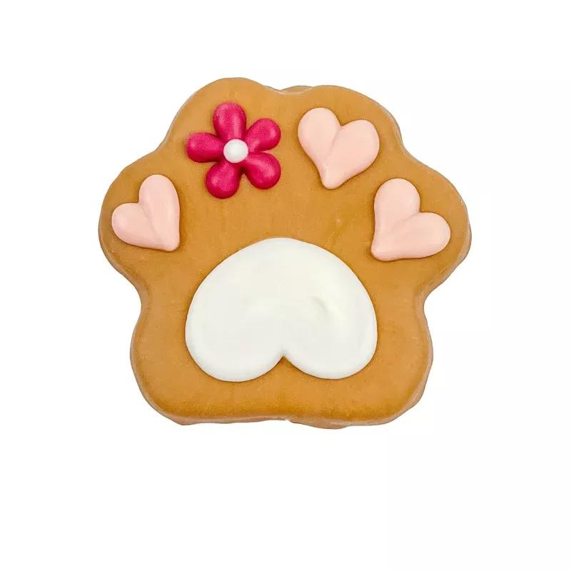 Barkery Case Cookie