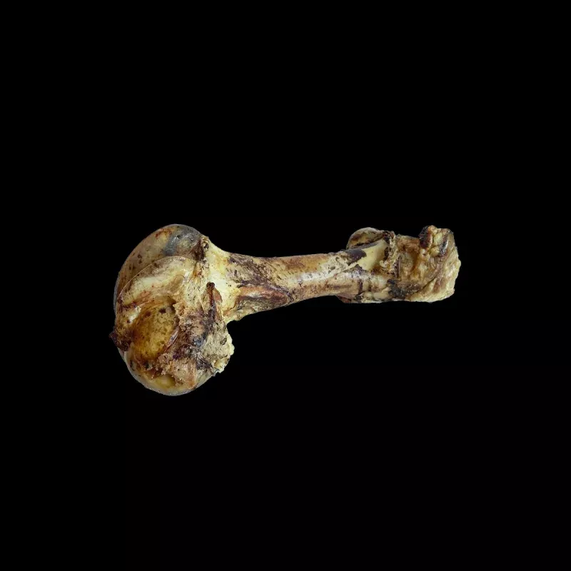 Beef Cattle Cured Dino Bone
