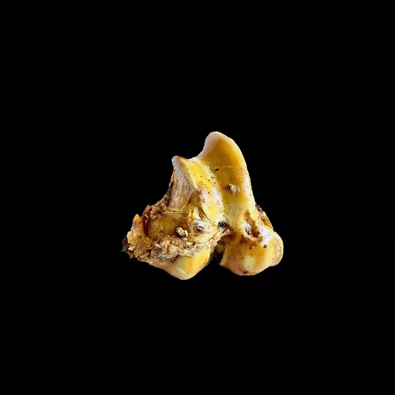 Beef Cattle Cured Knuckle Bone