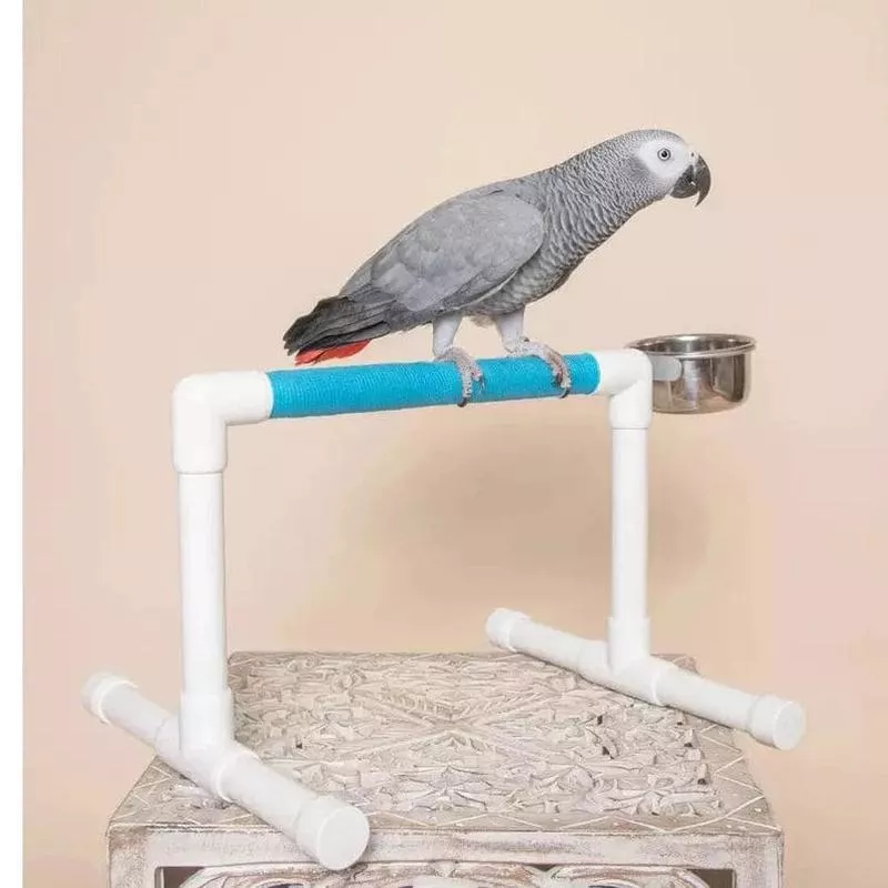 Bird Perch Stand