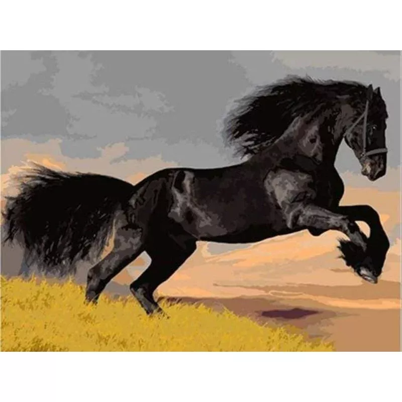Black Stallion – Transform Your Backyard into a Wildlife Oasis for All Creatures