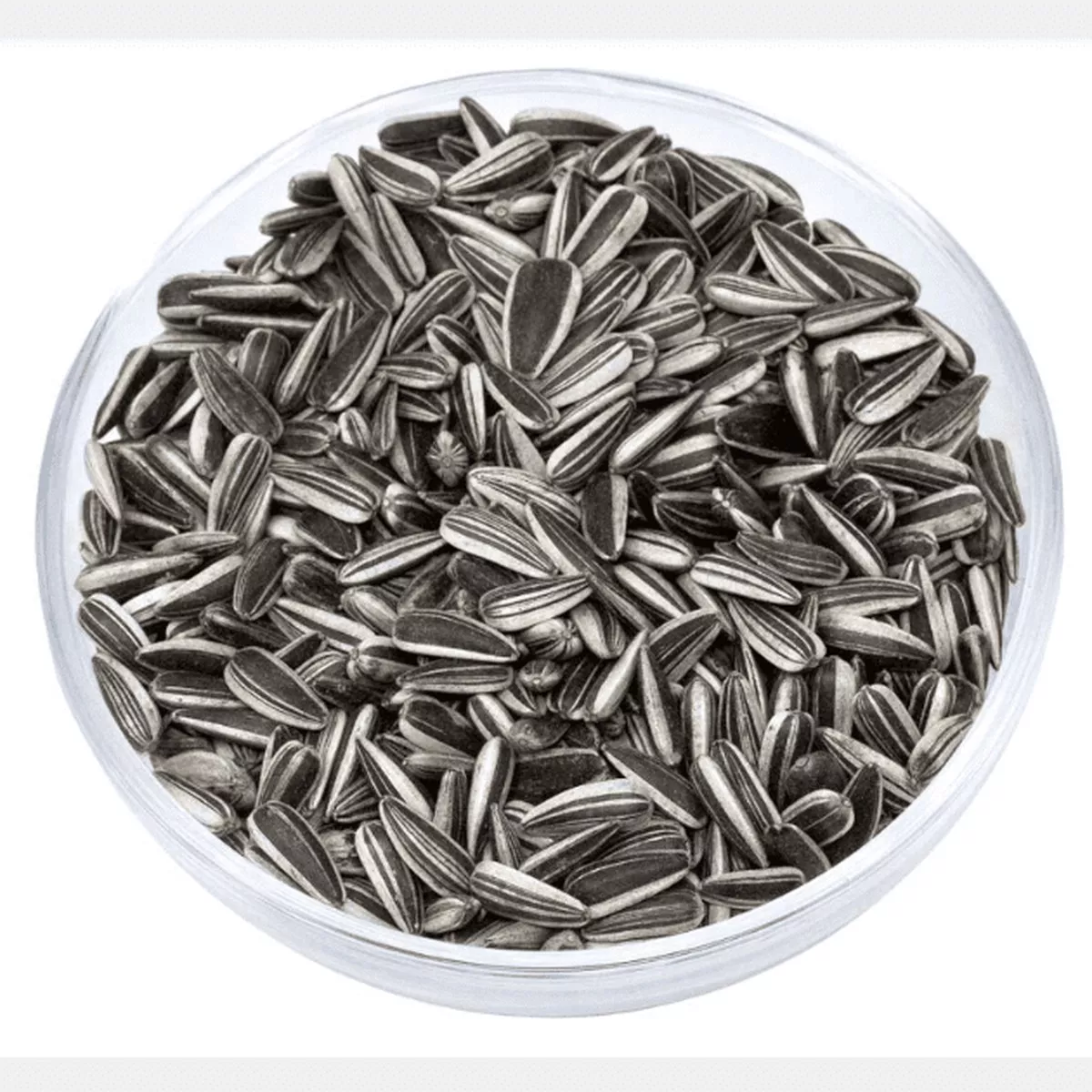 Borgovit Big Striped Sunflower Seeds 800gr