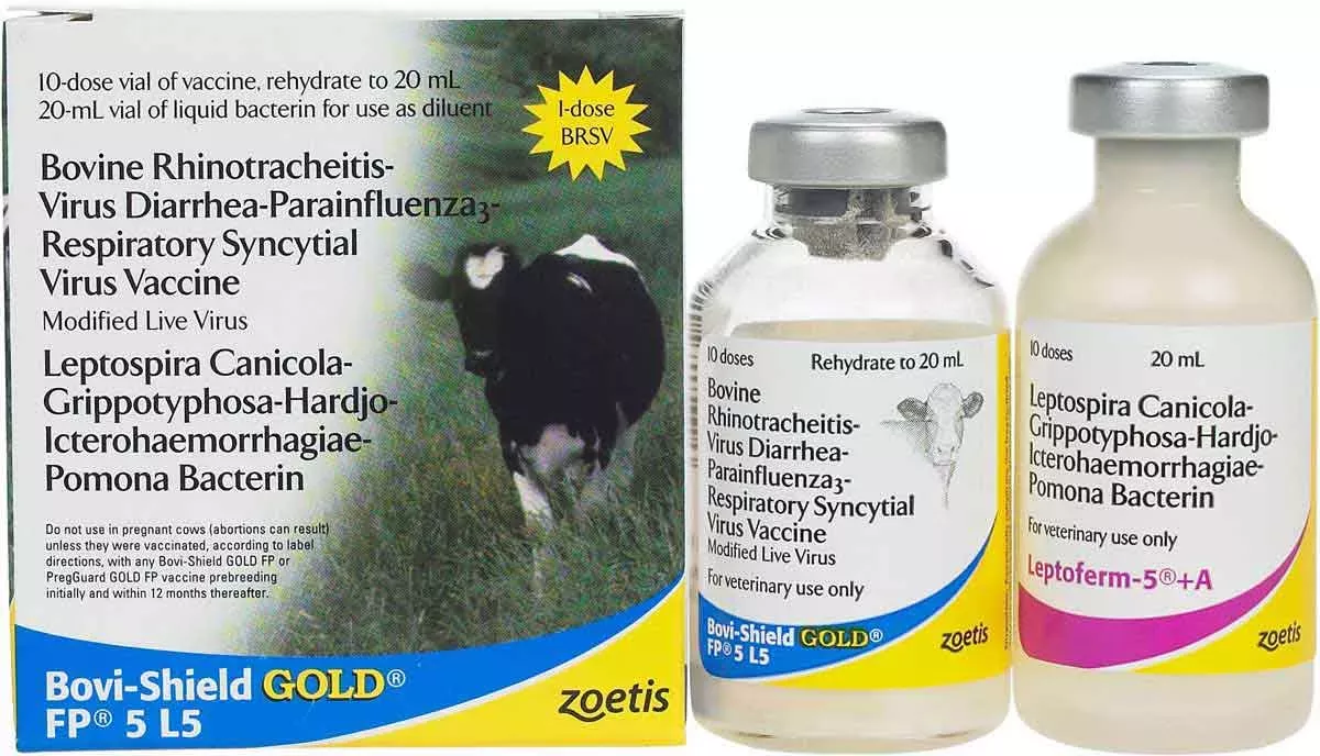 BOVI-SHIELD GOLD FP 5 L5 10 DOSES