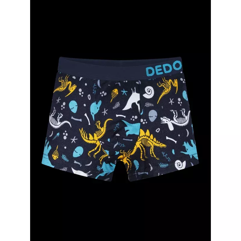 Boys' Boxers Dinosaurs