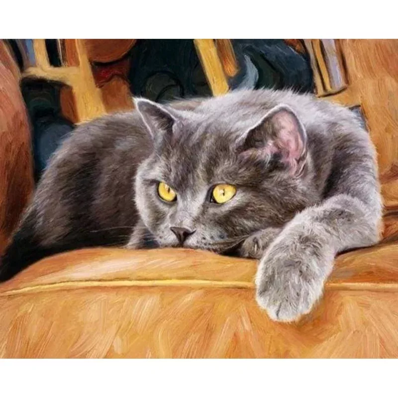Cat on Couch – Transform Your Backyard into a Wildlife Oasis for All Creatures