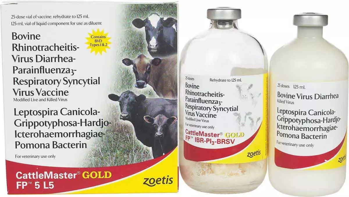 CATTLEMASTER GOLD FP 5+L5 25 DOSES
