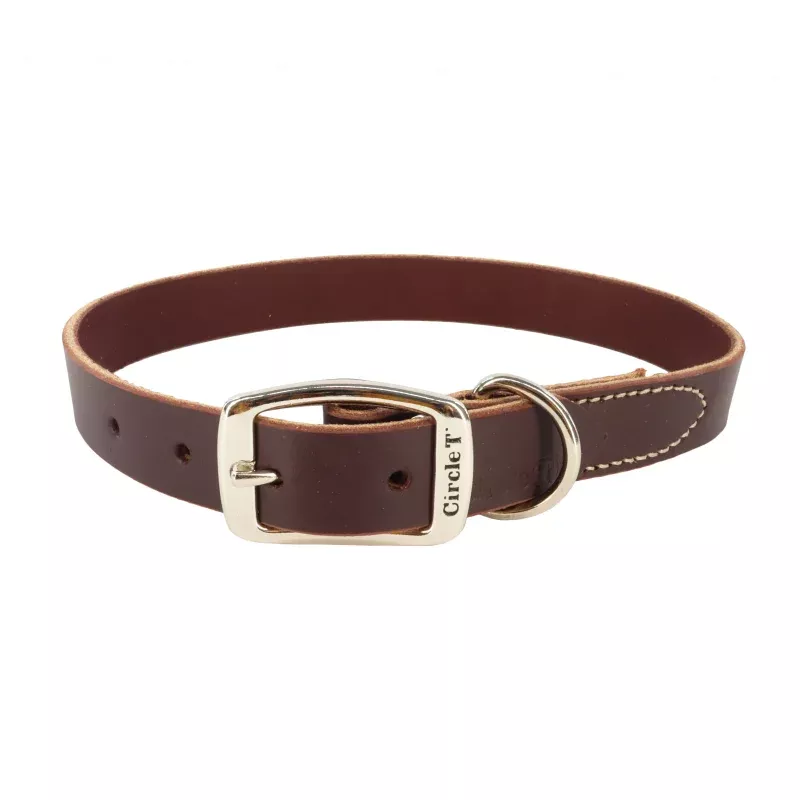 Circle T Latigo Leather Town Dog Collar