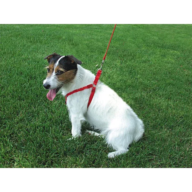 Coastal Comfort Wrap Red Adj Nylon Harness