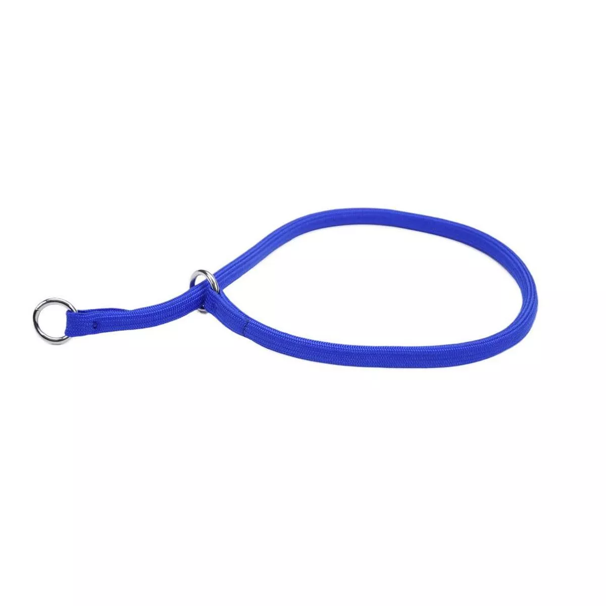 Coastal Round Nylon Dog Training Collar, Blue