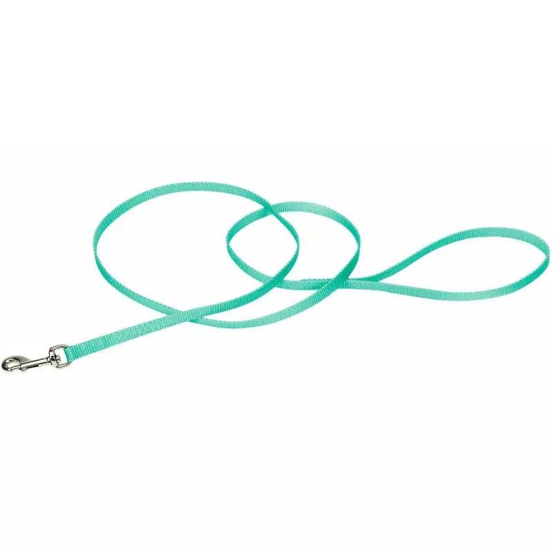 Coastal Single-Ply Leash, Teal