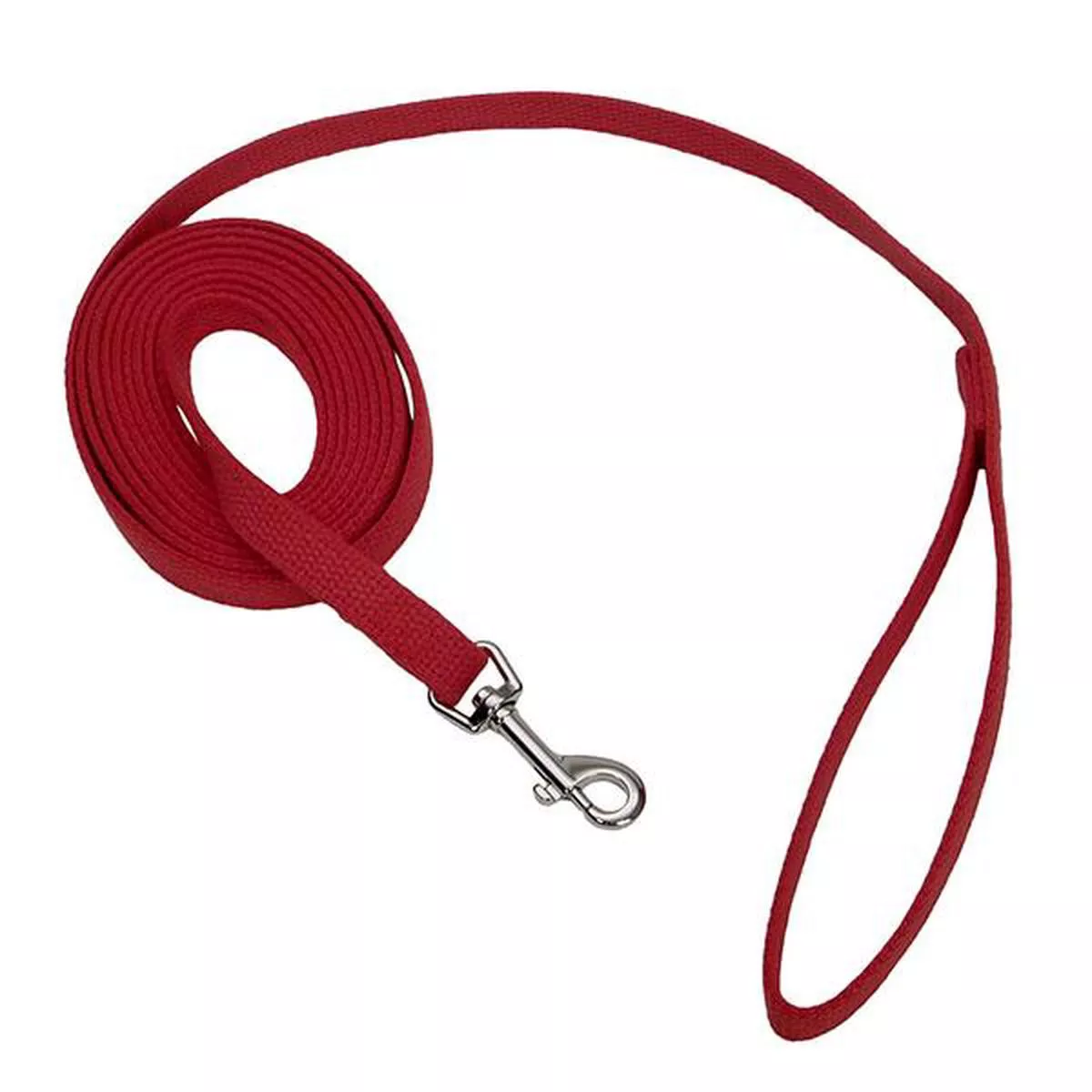 Coastal Train Right! Cotton Web Training Dog Leash, Red