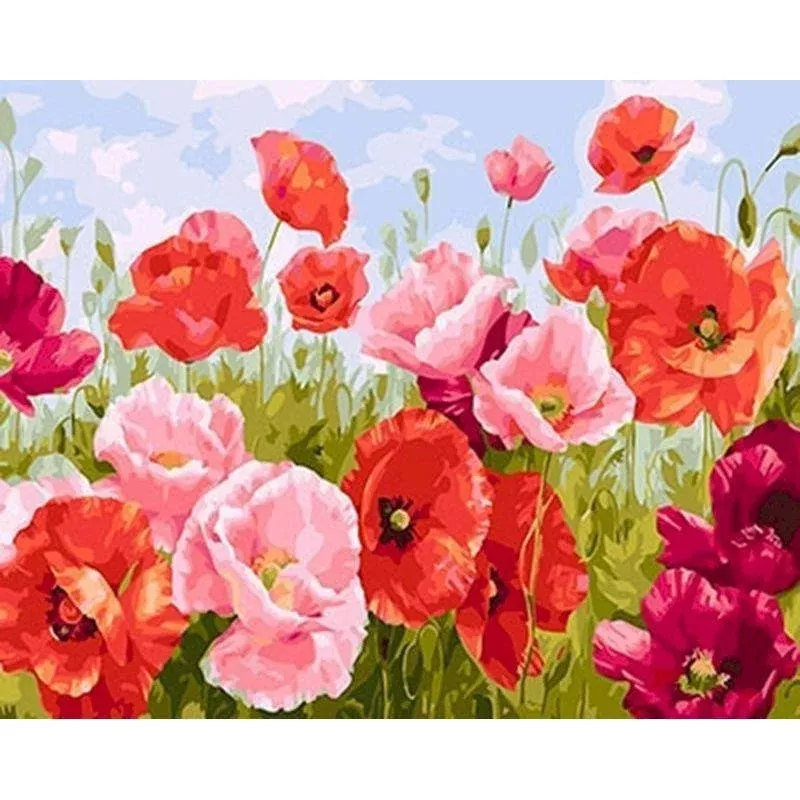 Common Poppy – Transform Your Backyard into a Wildlife Oasis for All Creatures