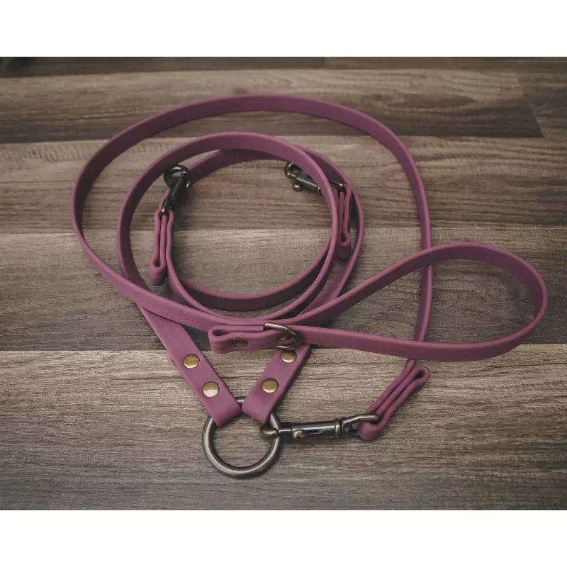 Coupler Leash Set - All Colors Jett