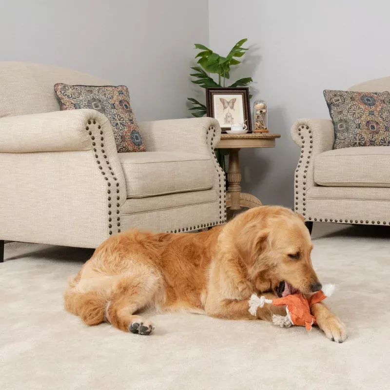 CT050 - Plush Crinkle Squeak Toys
