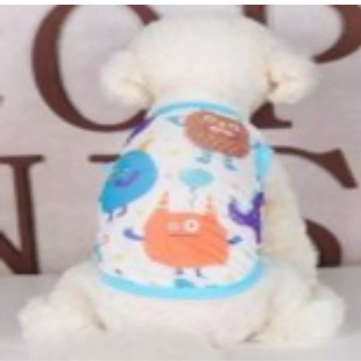 Cute Cartoon Pet Clothes