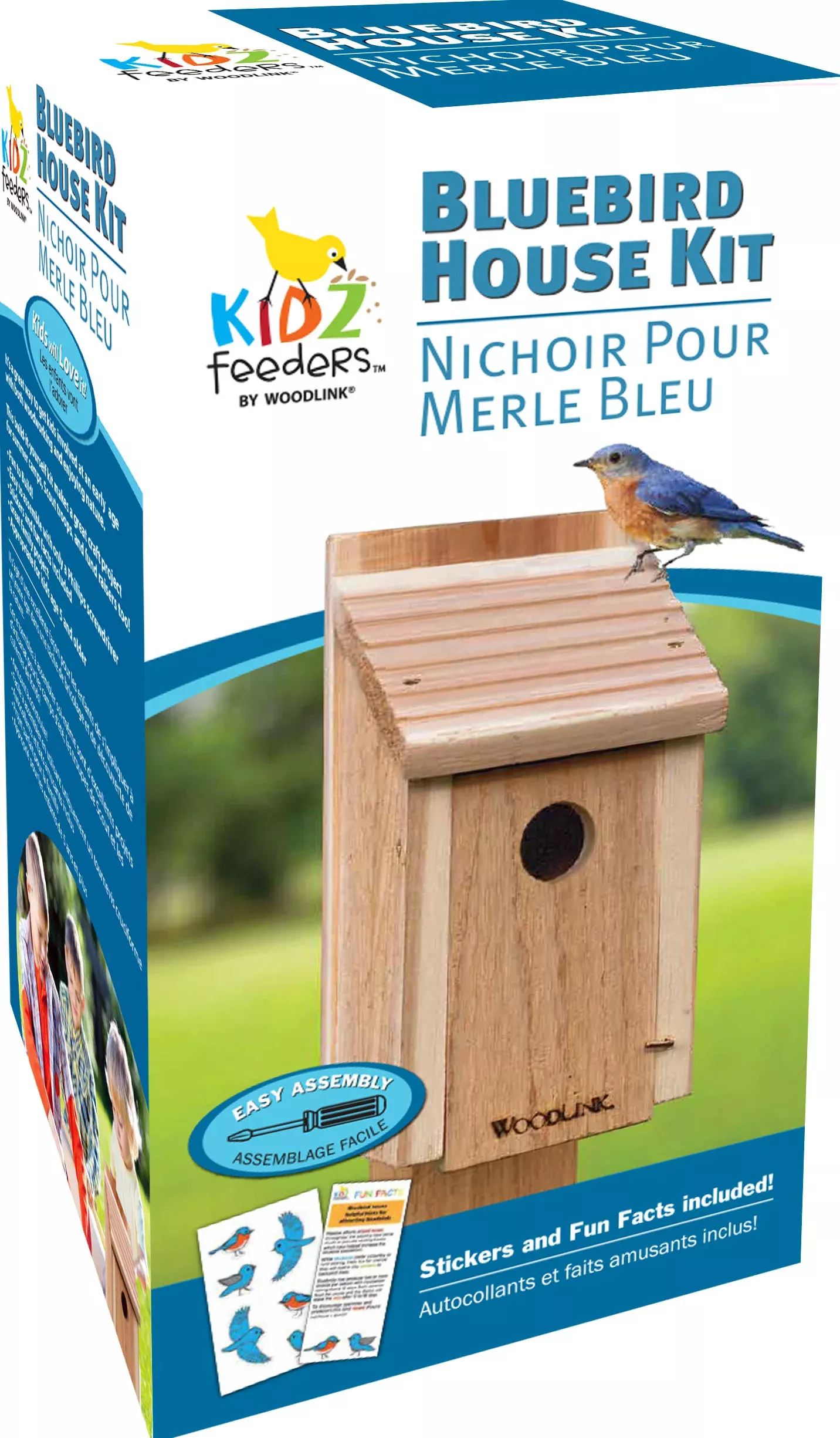 Diy Craft Kit Bluebird House
