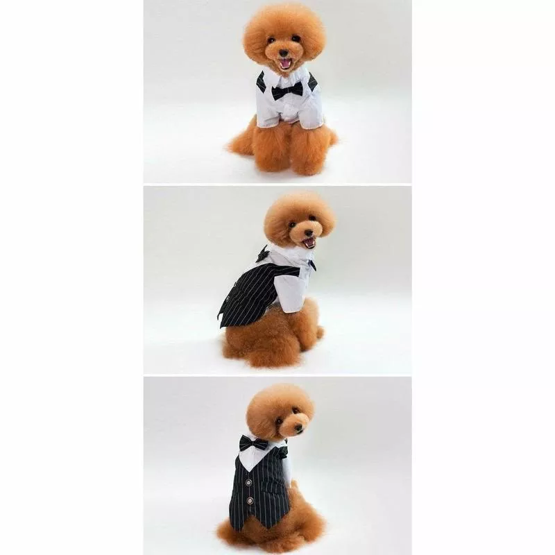 dog clothes Blue S KLN-1704BU