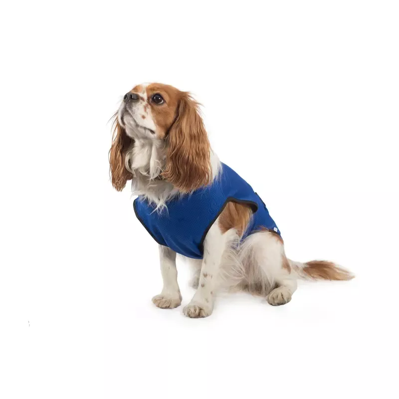 Dog Cooling Vest Medium