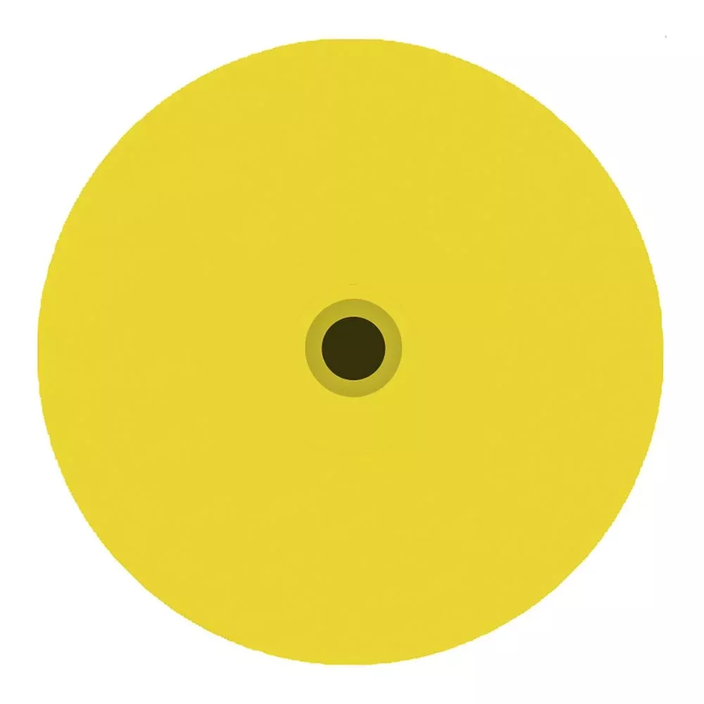 DuFlex Standard Round Blank Tag