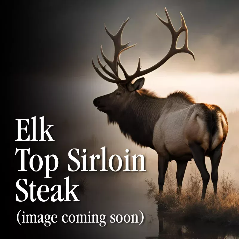 Elk Top Sirloin Steak