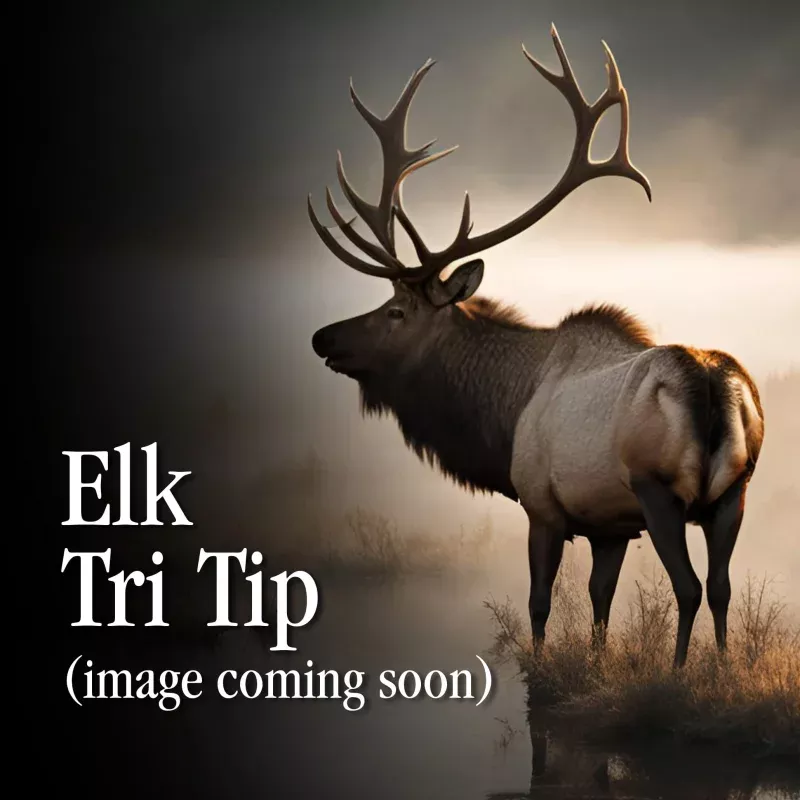 Elk Tri Tip