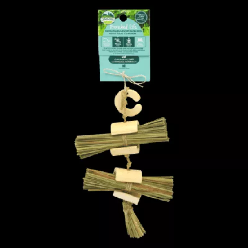 Enriched Life - Hanging Bulrush Bunches by Oxbow