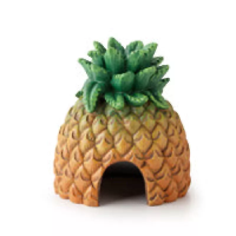 Exo Terra Pineapple Hide