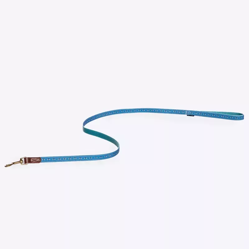 FatFace Spotty Bees Lead Medium 2cm