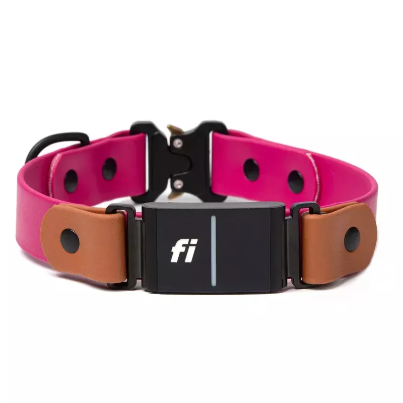 Fi Series 3 Compatible - BioThane Waterproof Fixed Quick Release Collar