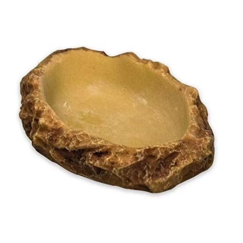 Flat Drinking Bowl Medium