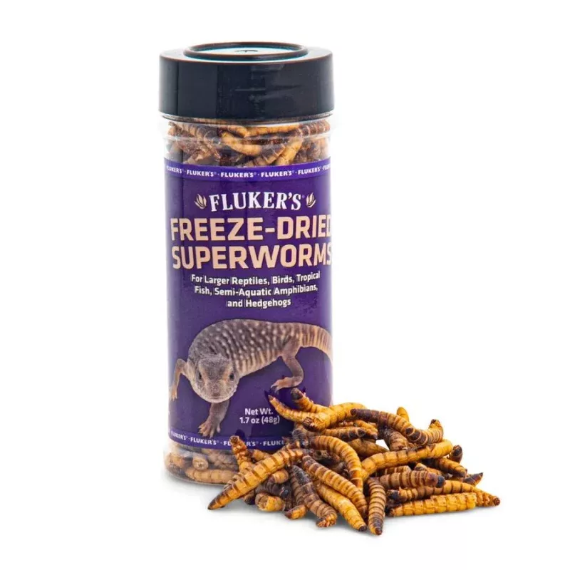 Fluker's Freeze-Dried Superworms